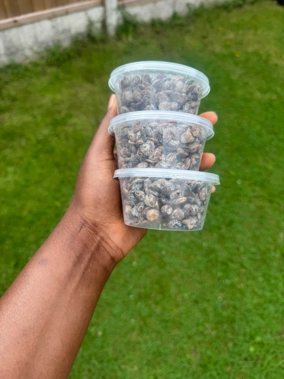 Fresh Locust Beans (Iru)